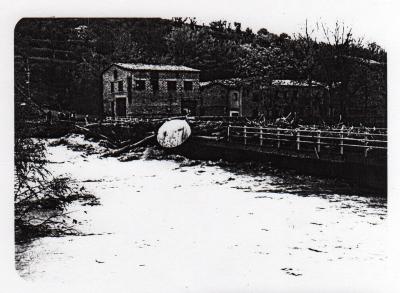 1907 / 1937 / 1982 tres tardors de gota freda
